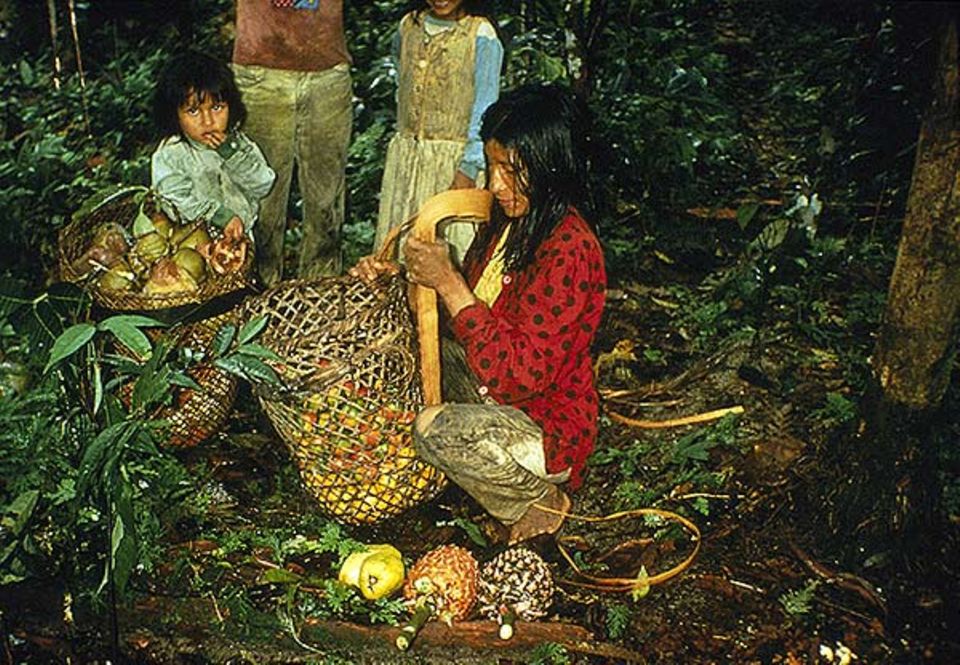 Kolumbien: Öl aus Milpeso-Palmen