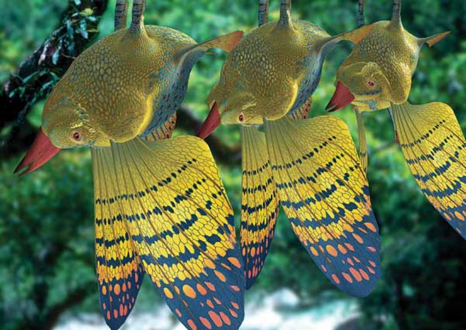 Kleine Waldflische hängen an den Ästen. Sie stammen von den Salzwasserfischen ab und fliegen mit den Brustflossen