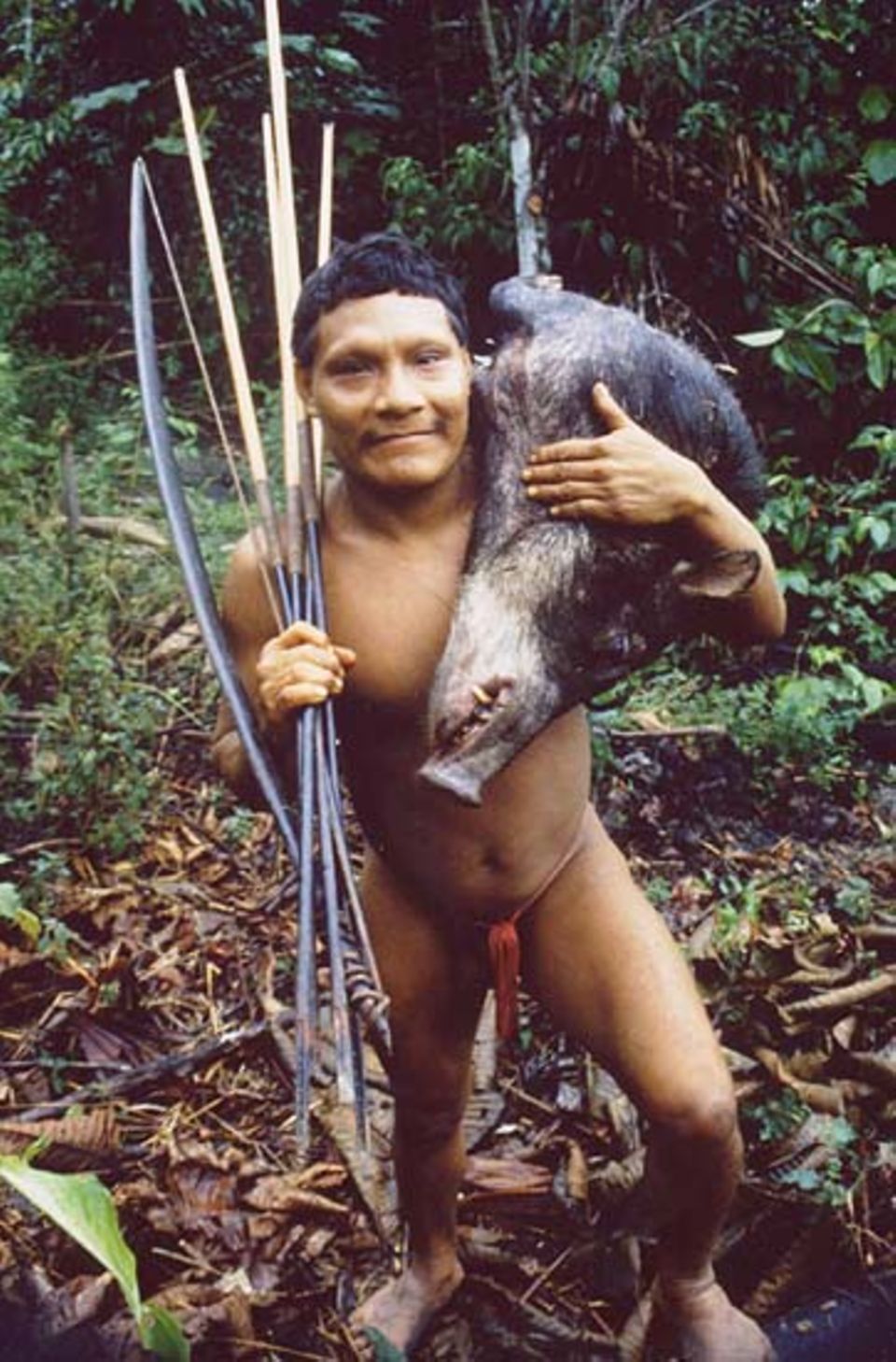 Gamkin war erfolgreich. Seine Jagdbeute hat er mit vergifteten Pfeilen erlegt Gamkin war erfolgreich. Seine Jagdbeute hat er mit vergifteten Pfeilen erlegt