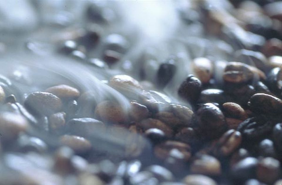 Wildkaffee ist besonders aromatisch Wildkaffee ist besonders aromatisch