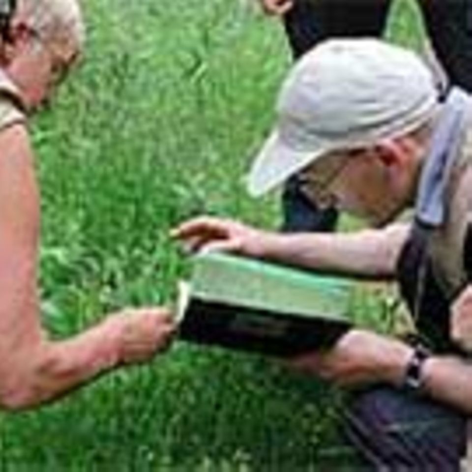 5. GEO-Tag der Artenvielfalt im Harz / Grünen Band