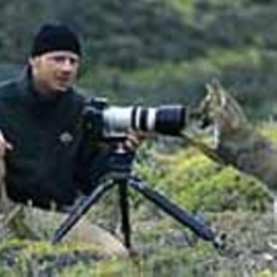 Tierfotograf Ingo Arndt: Hanuman-Languren, Epauletten-Flughunde und Co.