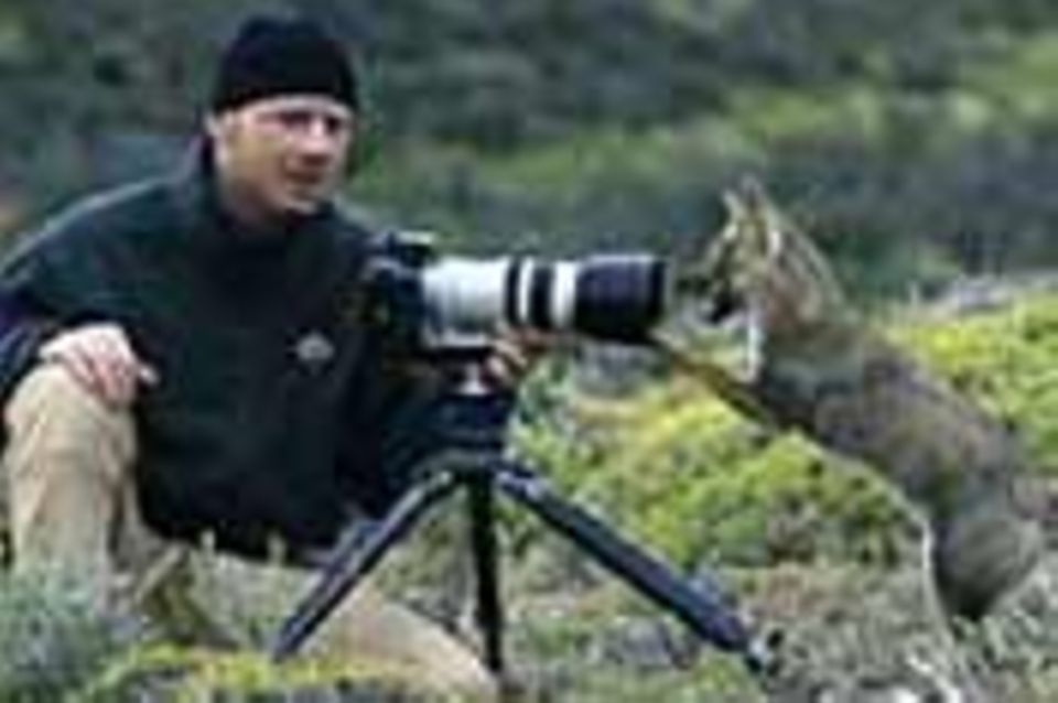 Tierfotograf Ingo Arndt: Hanuman-Languren, Epauletten-Flughunde und Co.
