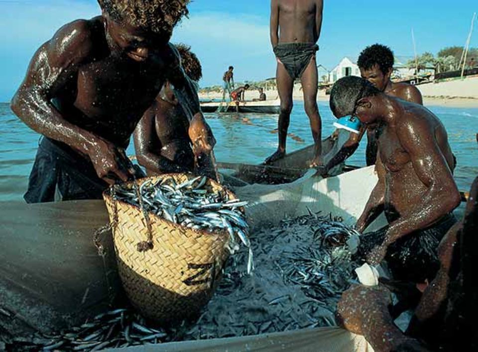 Urlaub: Anakao: Ein prächtiger Fang. So viel Glück haben die Fischer nicht oft