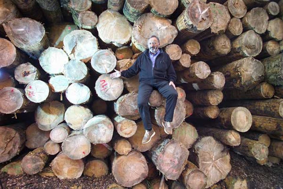 Mondkalender: Einschlag mit Aufschlag: Rund 20 Prozent höhere Preise erhält der österreichische Holzbau-Unternehmer Herbet Maier für Dachstühle aus robustem "Mondholz". Geschlagen nach alter Sitte bei bestimmten Mondständen im Winter