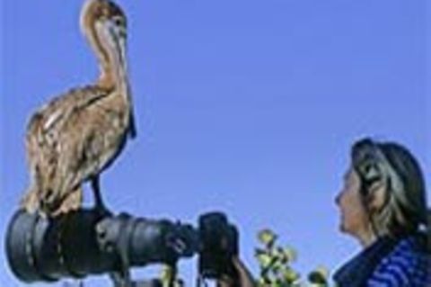 Beruf: Tierfotograf/in