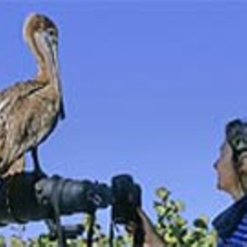 Beruf: Tierfotograf/in