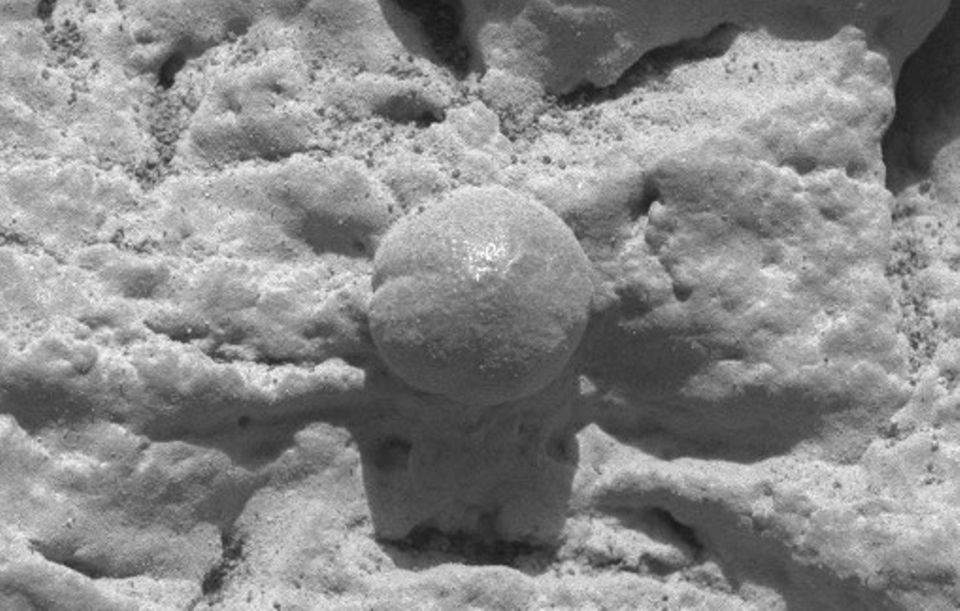 Der Mars unter der Lupe: "Blaubeeren" wie diese geben den Wissenschaftlern Rätsel auf. Das Bild zeigt einen 1,5 Zentimeter breiten Felsabschnitt