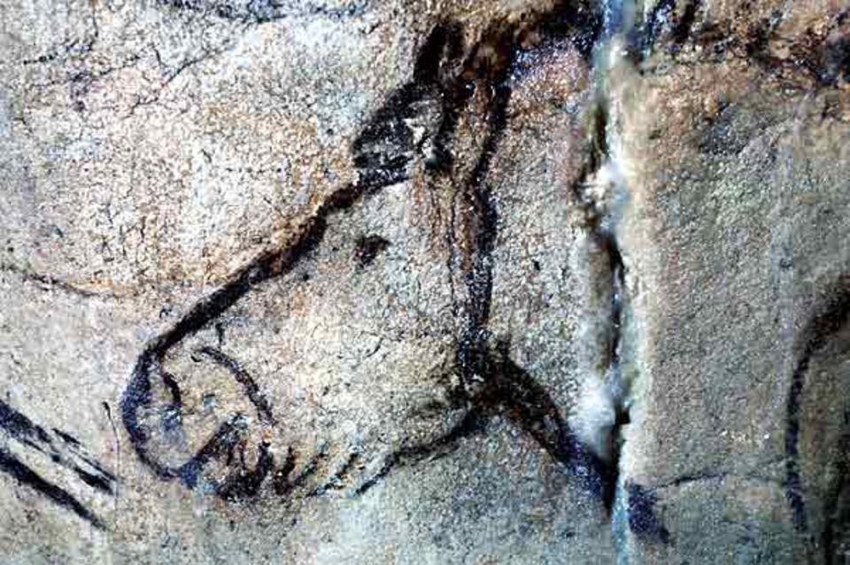 Ein Pferdeporträt aus der Höhle Niaux (Südwest-Frankreich)