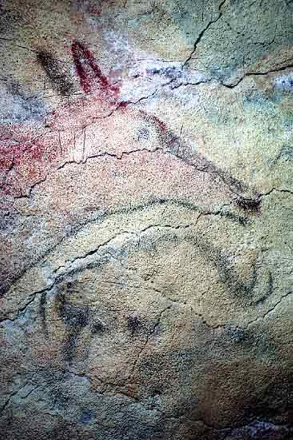 Ein Hirsch und ein Bison in der Höhle Altamira (Nord- Spanien)