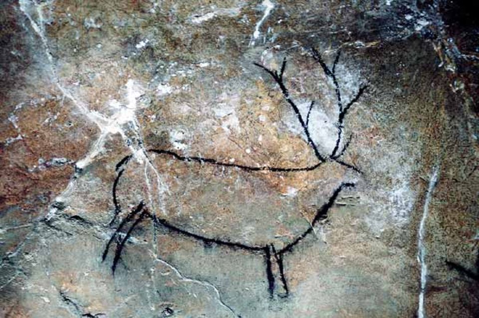 Ein Hirsch in der Höhle Las Chimeneas (Nord-Spanien)