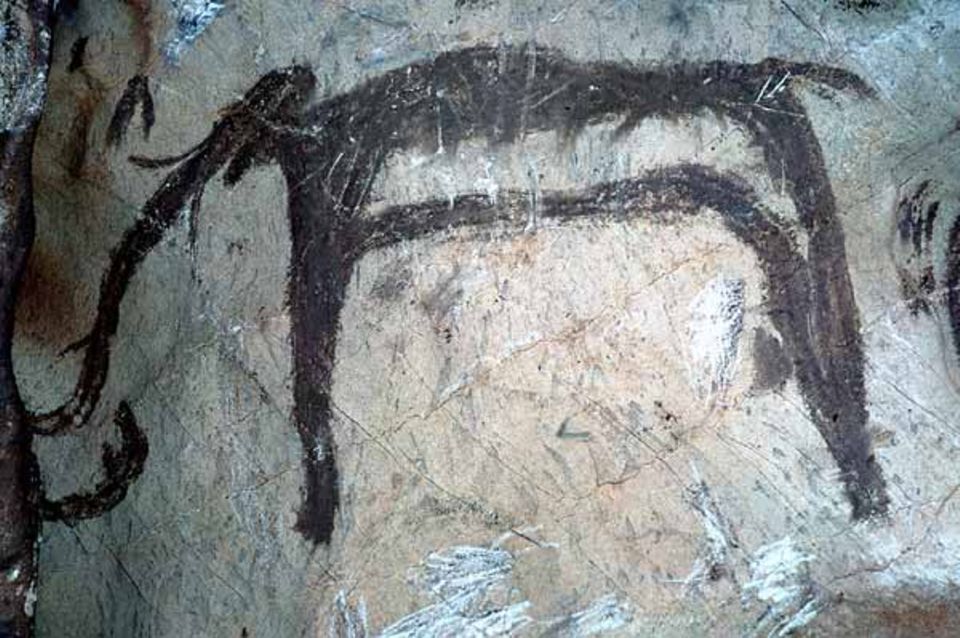 Mammut, mit Höhlenlehm gemalt. Höhle La Baume-Latrone (Süd-Frankreich)