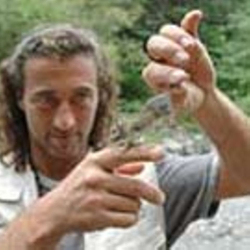 6. GEO-Tag der Artenvielfalt in Tirol: ein Foto-Tagebuch