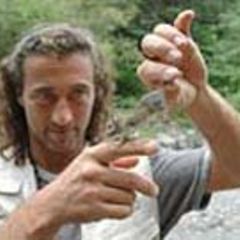 6. GEO-Tag der Artenvielfalt in Tirol: ein Foto-Tagebuch