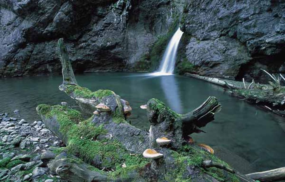 Die Schlucht des Bergbachs Julia liegt so abgeschieden, dass sich kaum ein Tourist dorthin verirrt Die Schlucht des Bergbachs Julia liegt so abgeschieden, dass sich kaum ein Tourist dorthin verirrt
