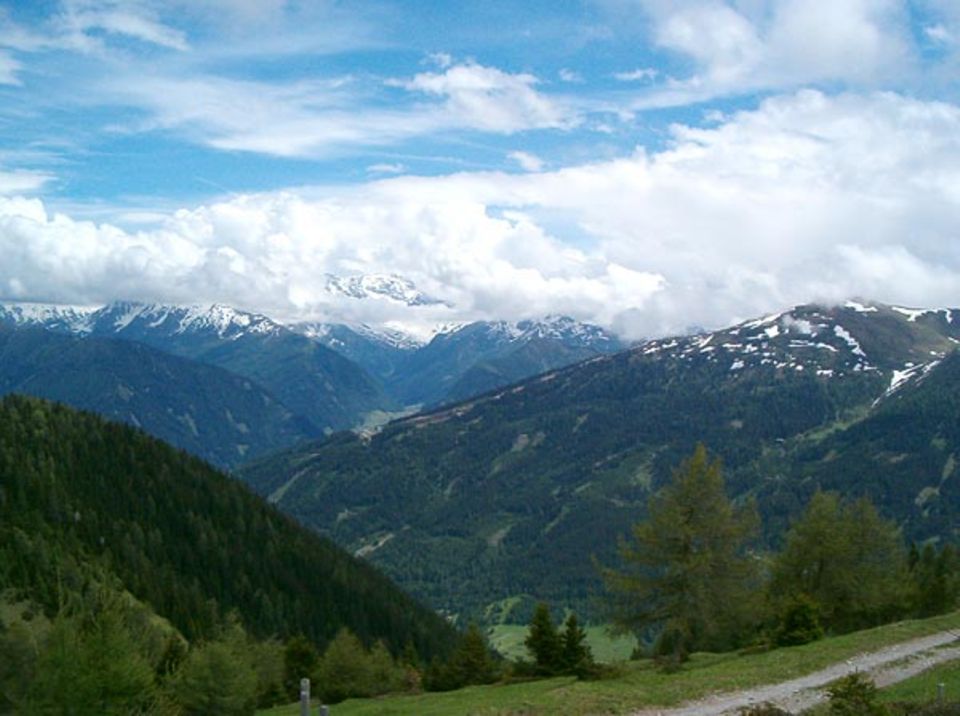 Wolkenvergangene Hänge im Gschnitztal