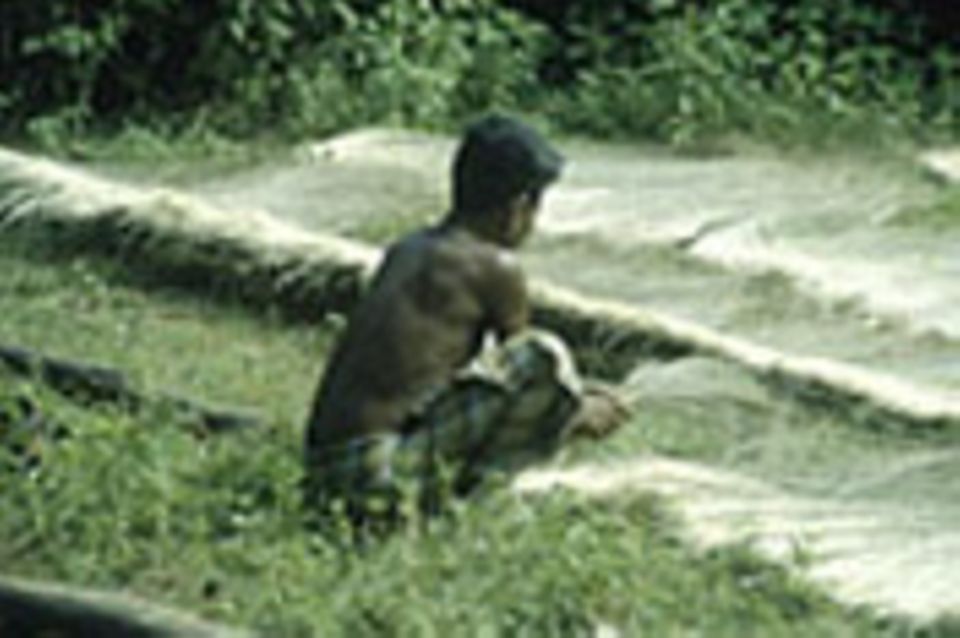 Indien: Erhalt der Vielfalt