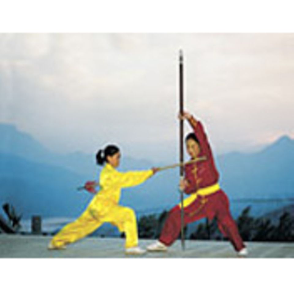 Die Schule der Kung-Fu-Mädchen
