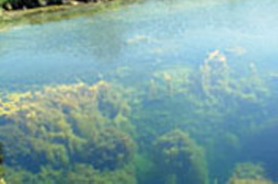Diebach-Oestheim: Das bodenlose Loch