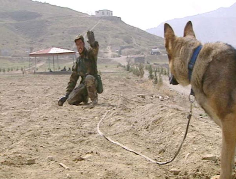 Die Minensucher von Kabul Die Minensucher von Kabul