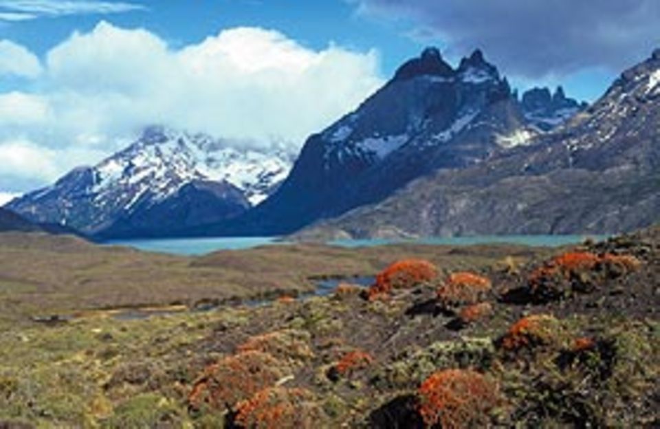 Hauptpreis: Eine Reise nach Chile im Wert von 7.500 Euro Hauptpreis: Eine Reise nach Chile im Wert von 7.500 Euro