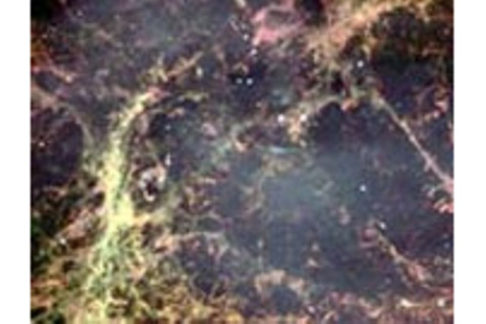 Astronomie: Supernovae als Killer