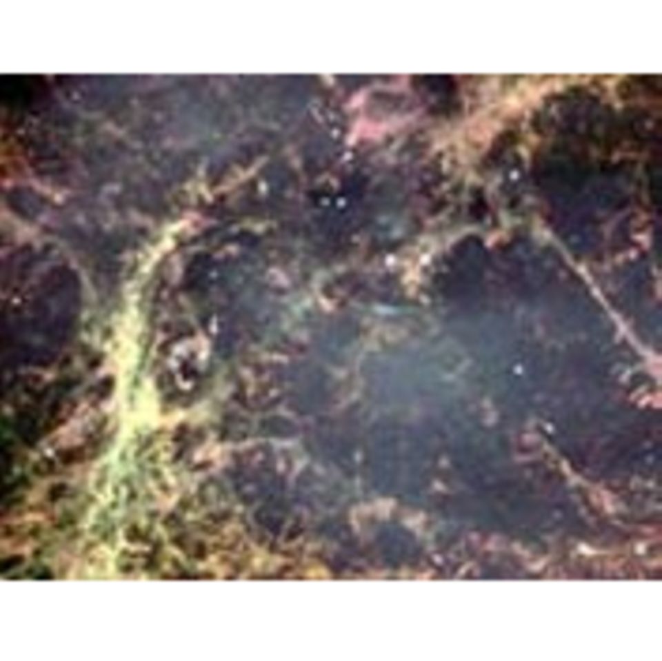 Astronomie: Supernovae als Killer