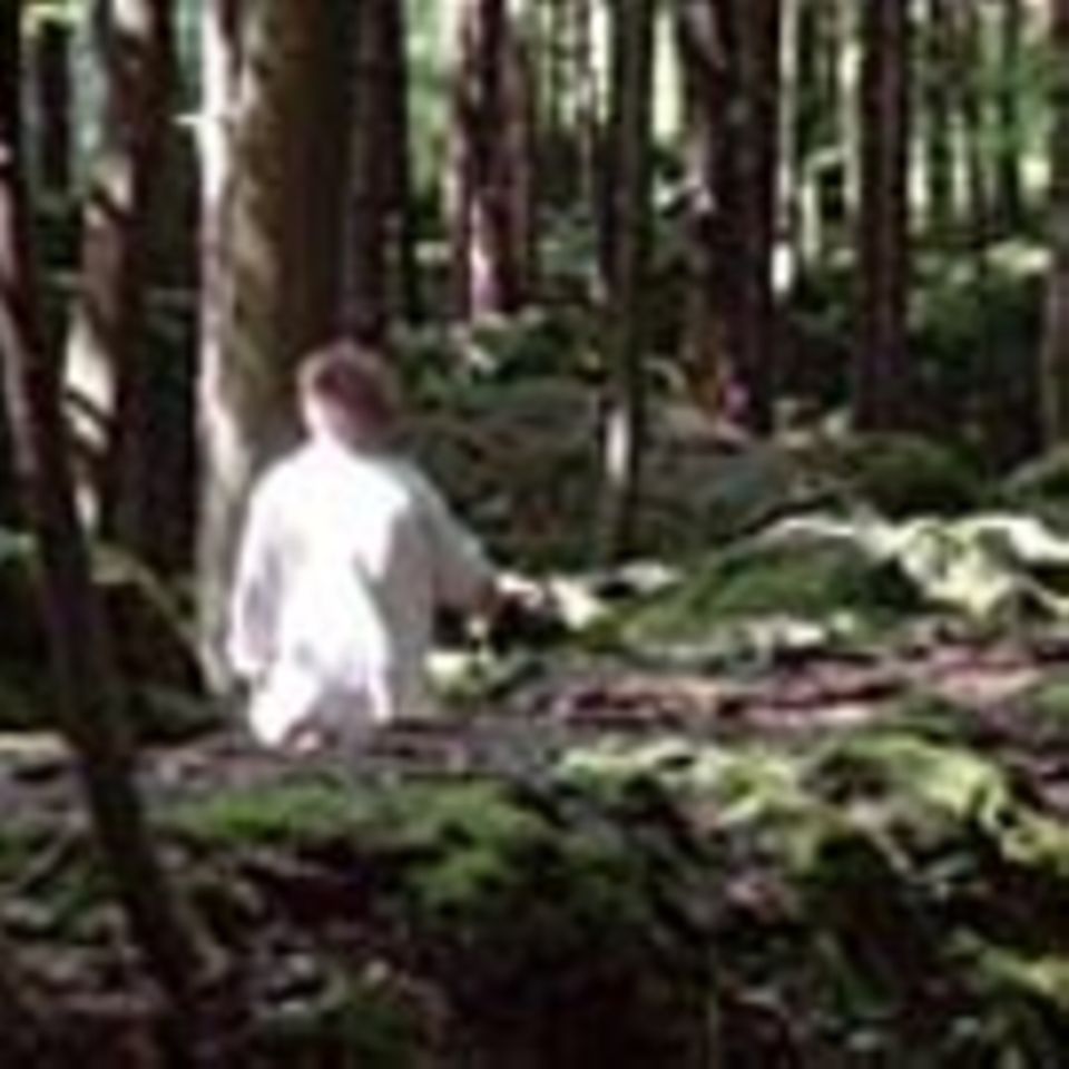 Fränkische Schweiz: Der Druidenhain