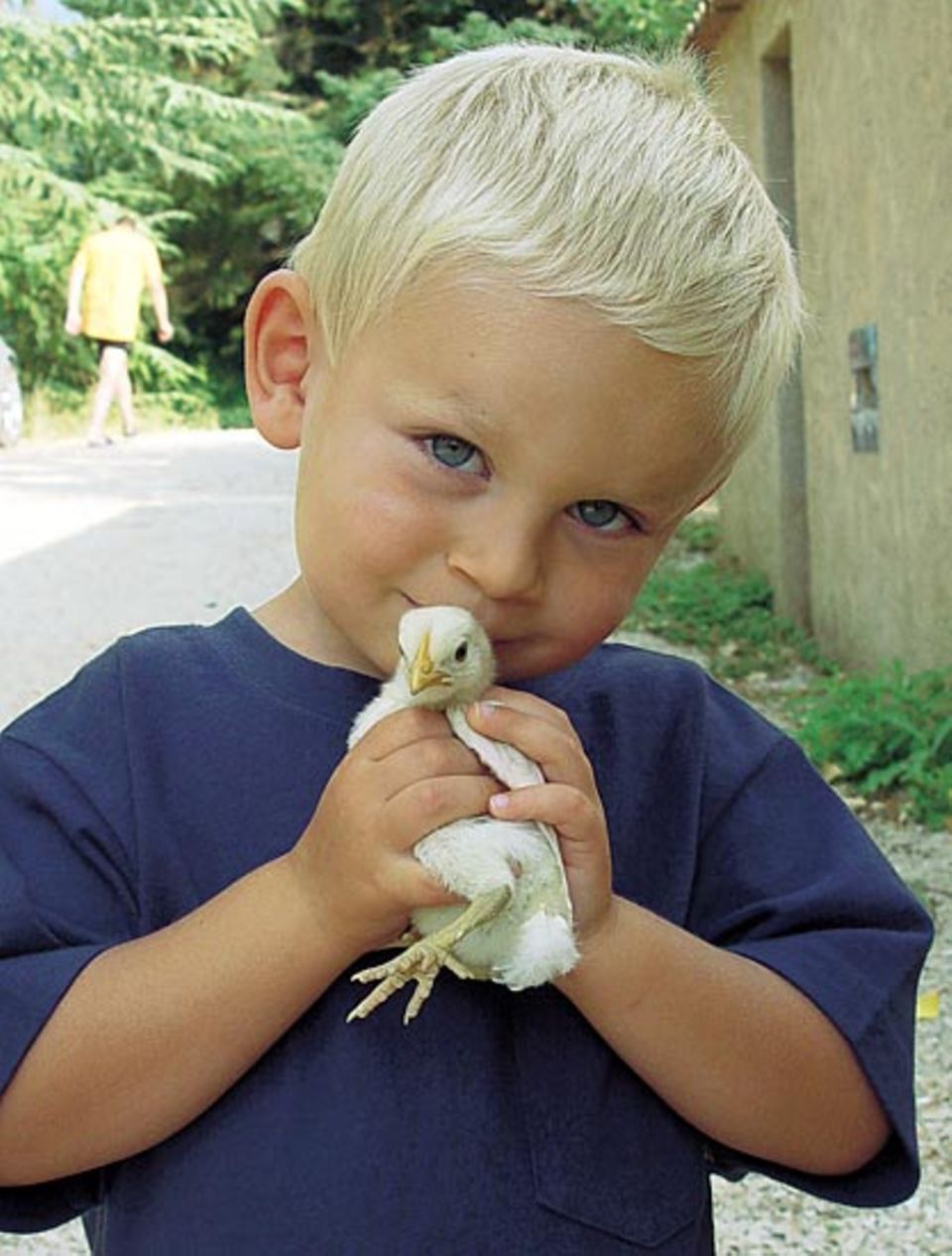 Dicke Freunde: Beim Hühnerfüttern kümmert sich der kleine Fabrice besonders aufmerksam um sein Lieblingsküken