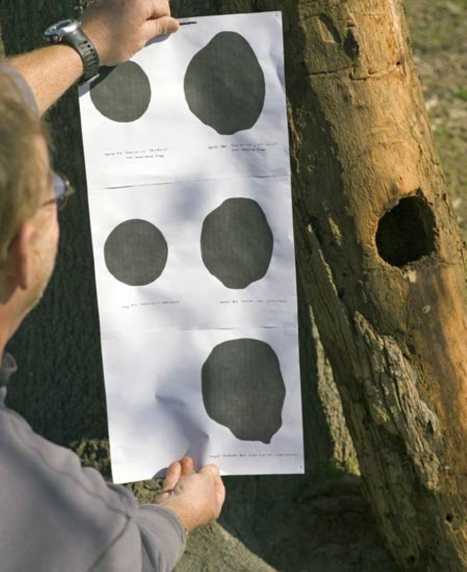 Gene Sparling, der Kanu-Fahrer, der den Specht im Februar 2004 wiederentdeckte, untersucht einen Specht-Bau. Auf der Zeichnung sind links typische Höhleneingänge des Helmspechts (Dryocopus pileatus) zu sehen, rechts die des Elfenbeinschnabel-Spechts
