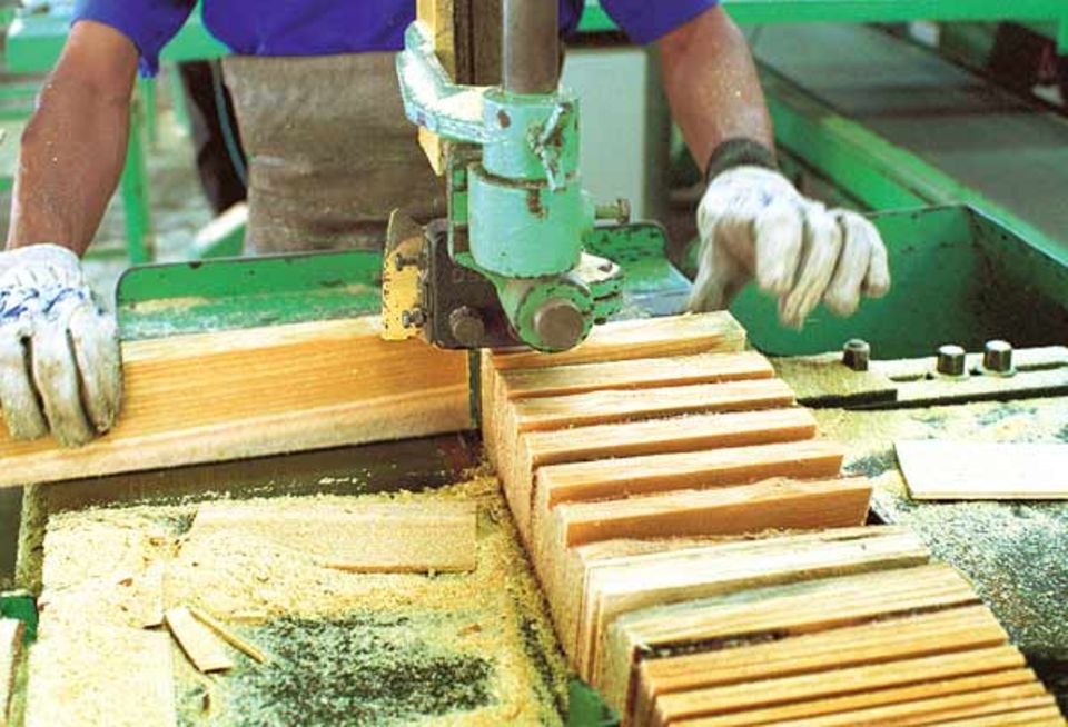 Produktion: Im Sägewerk geht es laut und staubig zu. Hier werden die rohen Baumstämme zugeschnitten: erst zu langen Brettern, dann zu Holzklötzchen in Buntstiftlänge Produktion: Im Sägewerk geht es laut und staubig zu. Hier werden die rohen Baumstämme zugeschnitten: erst zu langen Brettern, dann zu Holzklötzchen in Buntstiftlänge