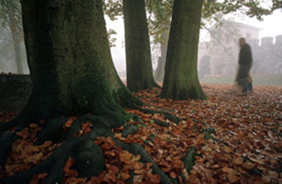 Raubgräber: Sie schleichen in der Dämmerung durch den Wald, immer auf der Suche nach Schätzen aus vergangener Zeit Raubgräber: Sie schleichen in der Dämmerung durch den Wald, immer auf der Suche nach Schätzen aus vergangener Zeit