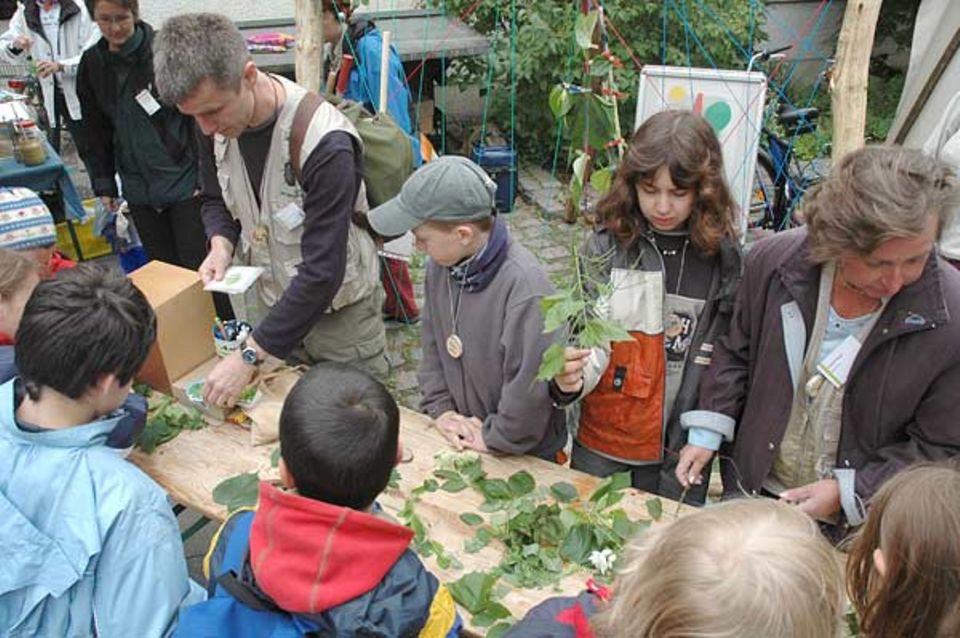 Nach dem Zug durch den Berliner Tiergarten werten die Kinder ihre gesammelten "Schätze" mit Hilfe der Umweltpädagogen aus Nach dem Zug durch den Berliner Tiergarten werten die Kinder ihre gesammelten "Schätze" mit Hilfe der Umweltpädagogen aus