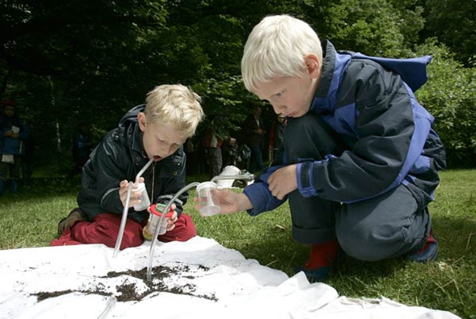 Aaron und Aron sammeln Käfer mit ihrem so genannten "Insektenstaubsauger" Aaron und Aron sammeln Käfer mit ihrem so genannten "Insektenstaubsauger"