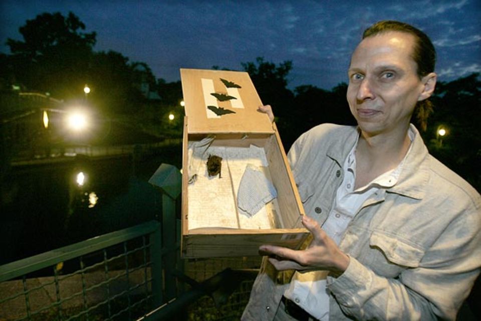Der freie Biologe Karsten Callasch präsentiert eine in den Abendstunden gefangene Fledermaus Der freie Biologe Karsten Callasch präsentiert eine in den Abendstunden gefangene Fledermaus