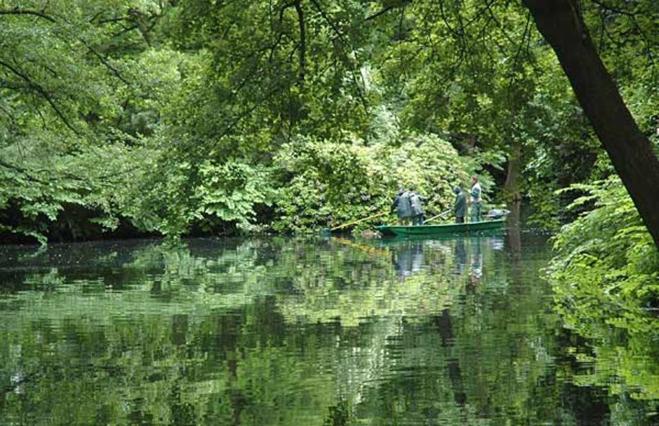 Fischexperten untersuchen die Fauna eines Gewässers im Berliner Tiergarten Fischexperten untersuchen die Fauna eines Gewässers im Berliner Tiergarten