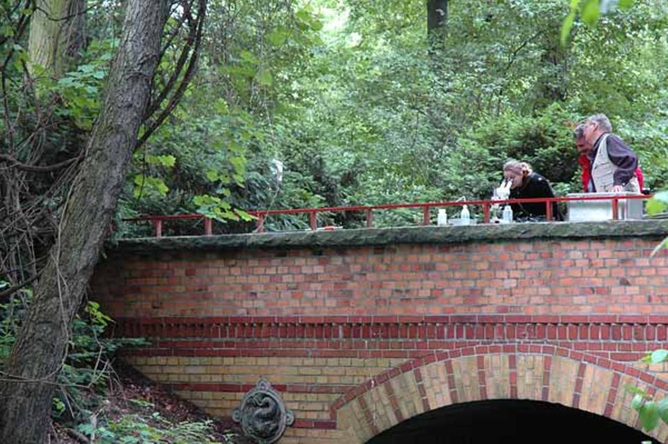 Teilweise werten die Experten ihre pflanzlichen und tierischen Funde auch direkt vor Ort, mitten im Berliner Tiergarten, unter dem Mikroskop aus