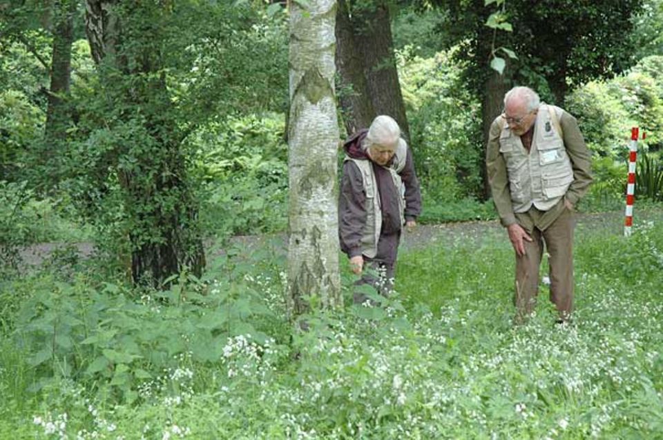 Zwei der 100 Experten stapfen durch das Grün im Tiergarten. Den Blick immer nach unten gerichtet, damit kein Fund übersehen wird