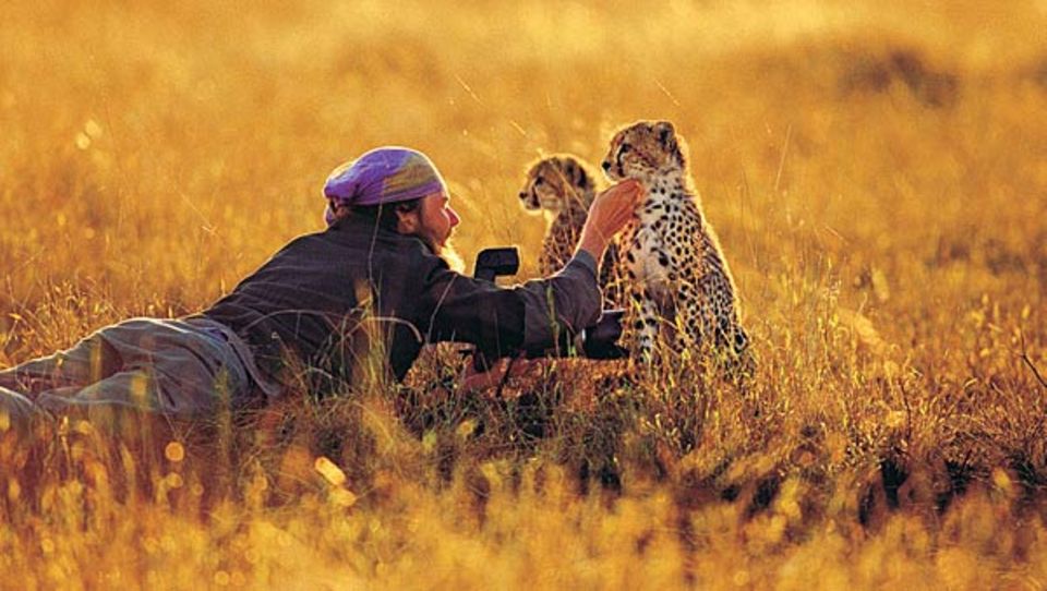 Fellpflege in der Serengeti: Matto Barfuss lebt mit Geparden