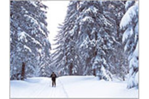 Bayerwald-Loipe auf Skiern