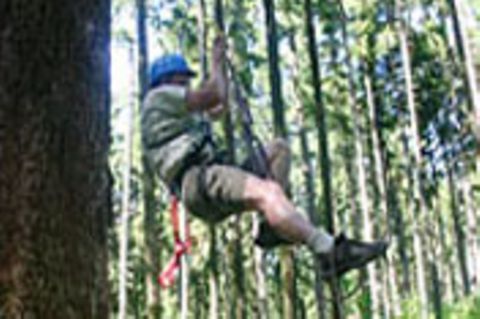 Treeclimbing - die Welt von oben