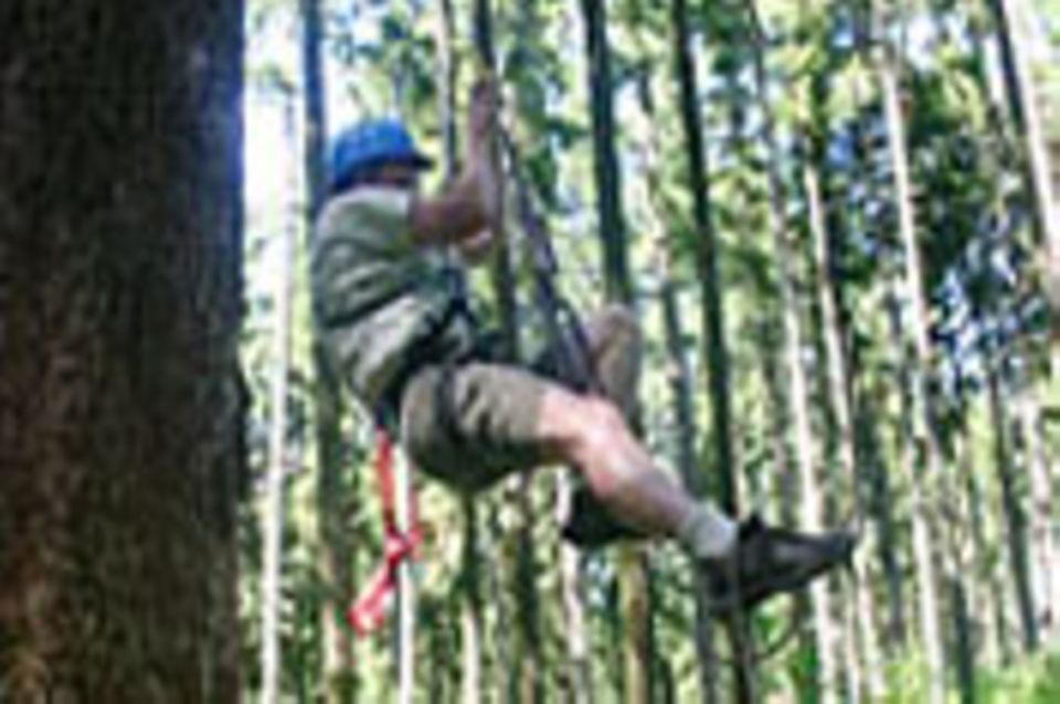 Treeclimbing - die Welt von oben