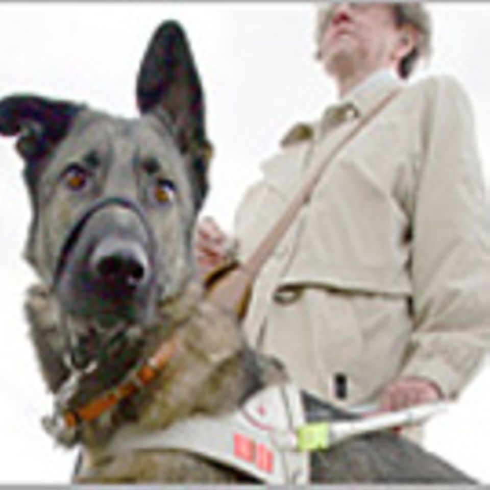 Wenn Tiere Menschen helfen