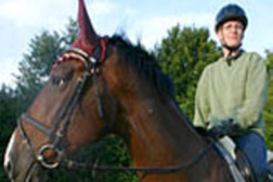 Beruf: Reitlehrer/in