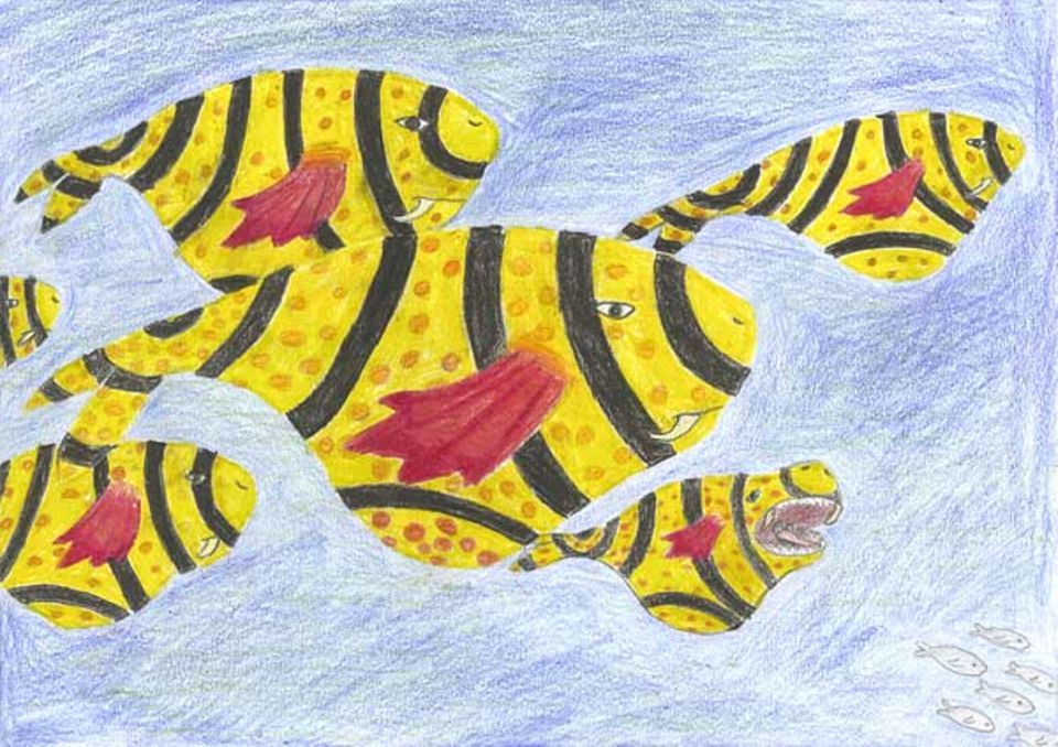 Die Biene Maja der Meere: Zwei lange krumme Zähne und rote Flossen - so stellt sich Pauline Géhannin aus Wiesbaden den Hakenflosser vor
