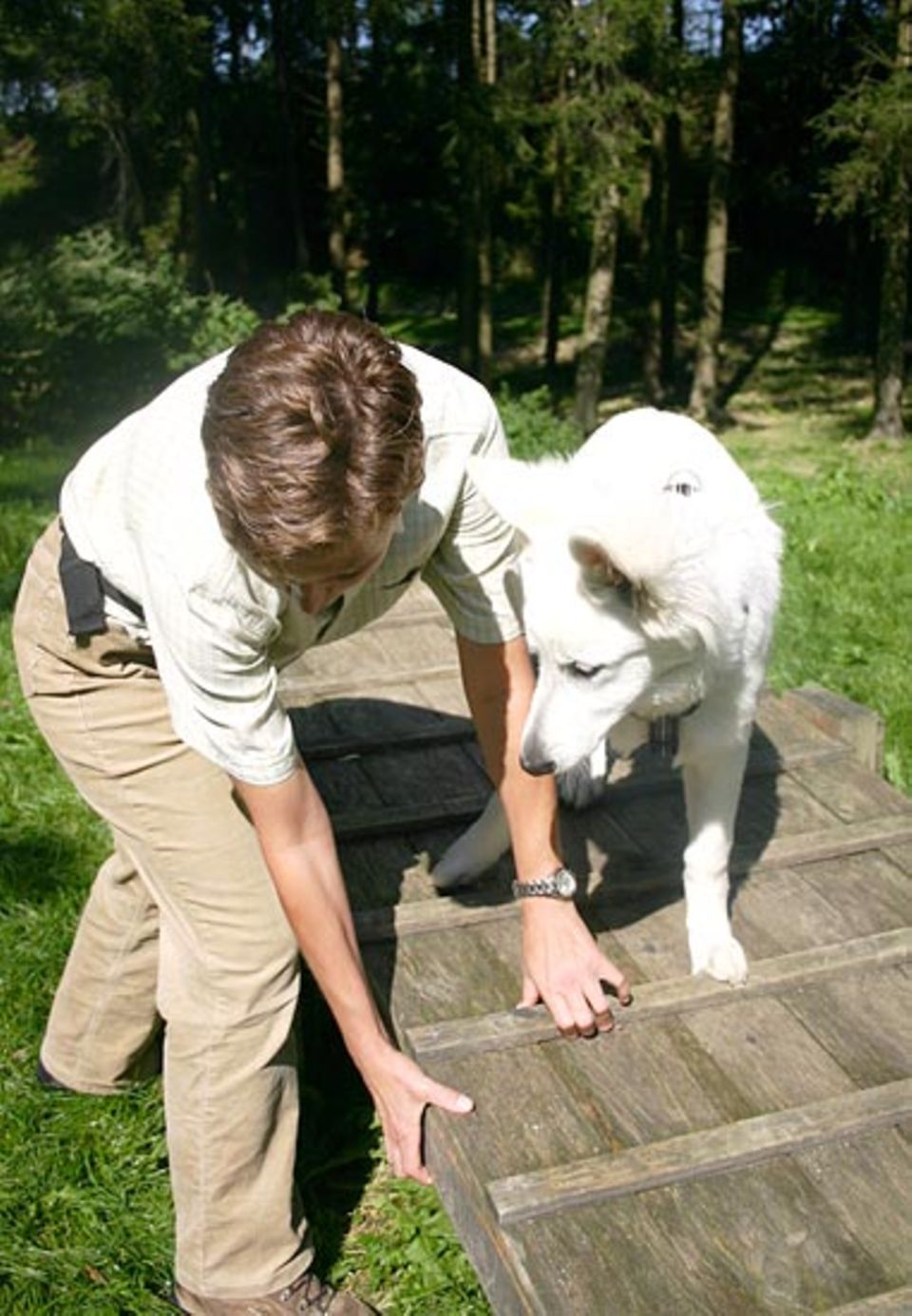 Beruf: Spielerisch geht Ulrike mit den Hunden um Beruf: Spielerisch geht Ulrike mit den Hunden um