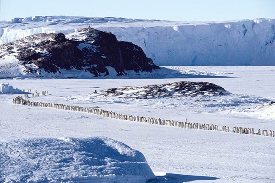 Die Reise der Pinguine - Fotoshow