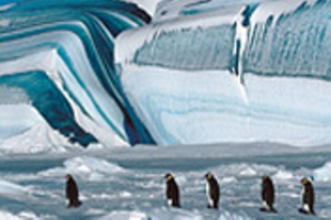 Kinotipp: Die Reise der Pinguine