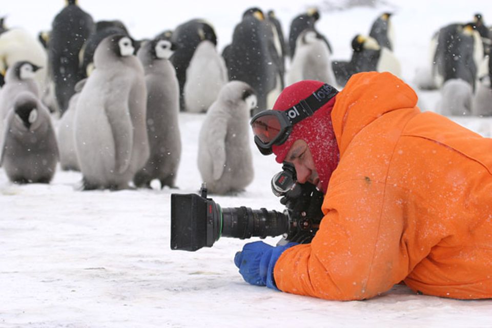 Luc Jacquet hat die Pinguine begleitet