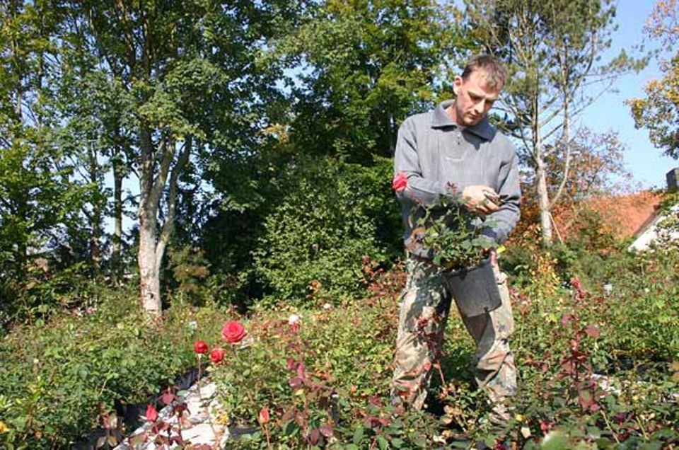Beruf: Pflanzen, pflegen, umtopfen, beschneiden - bis die Blätter sprießen und die Blumen blühen Beruf: Pflanzen, pflegen, umtopfen, beschneiden - bis die Blätter sprießen und die Blumen blühen